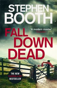 Обложка книги «Fall Down Dead»