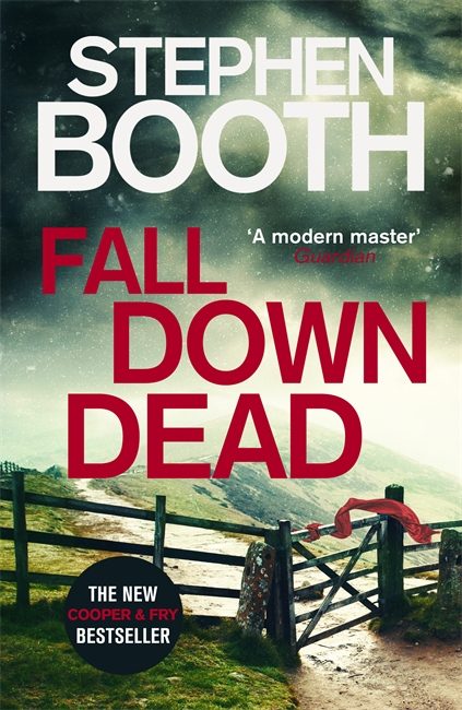 Обложка книги «Fall Down Dead»