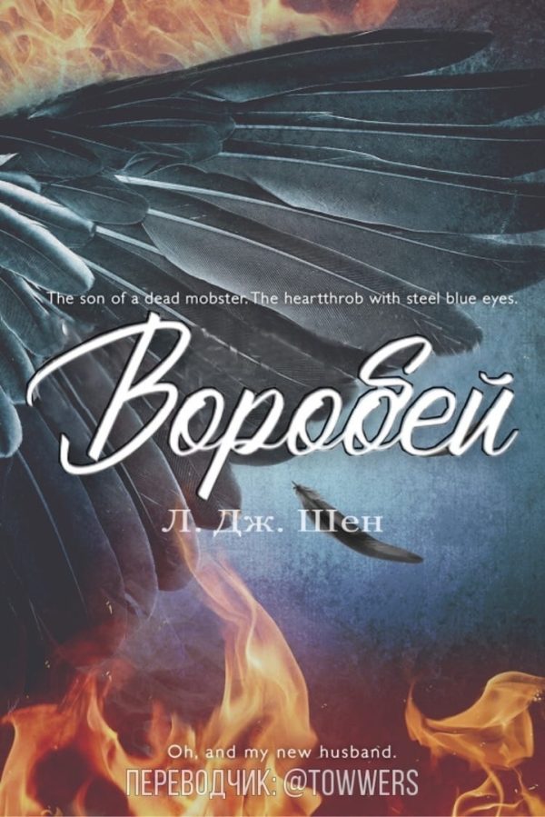 Обложка книги «Воробей»