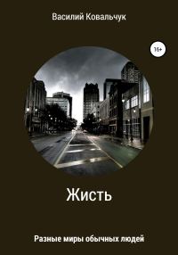 Обложка книги «Жисть»