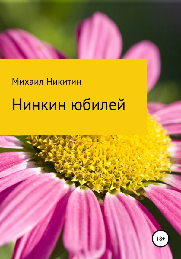 Обложка книги «Нинкин юбилей»