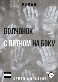 Обложка книги «Волчонок с пятном на боку»