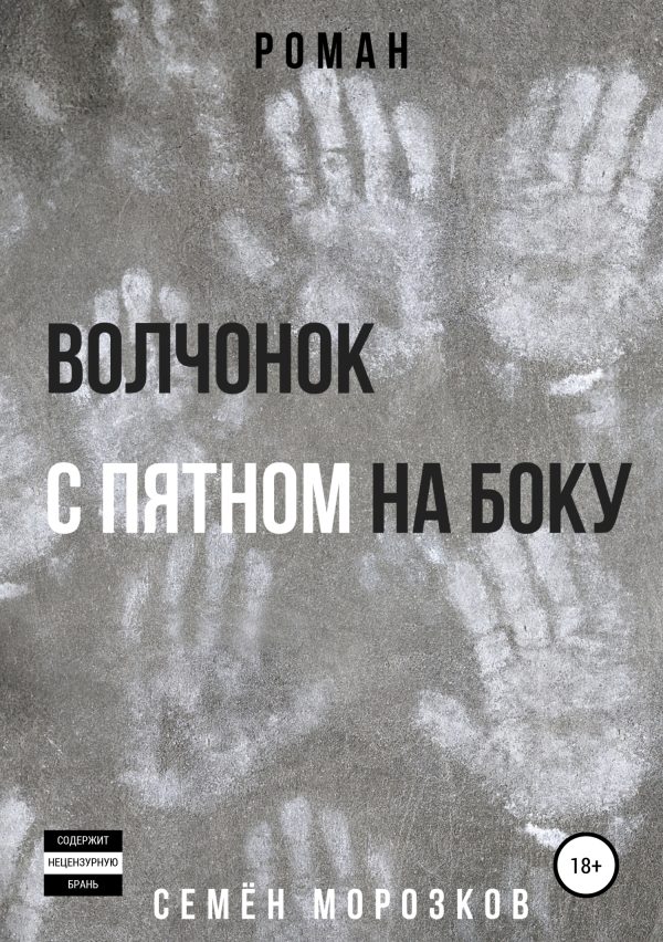 Обложка книги «Волчонок с пятном на боку»