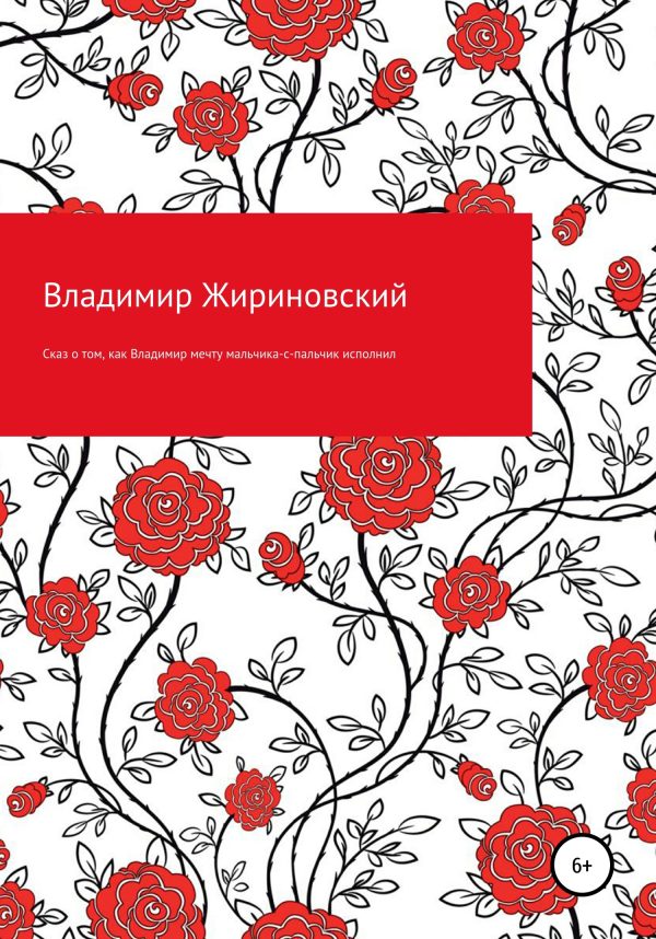 Обложка книги «Сказ о том, как Владимир мечту мальчика-с-пальчик исполнил»