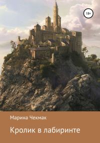 Обложка книги «Кролик в лабиринте»