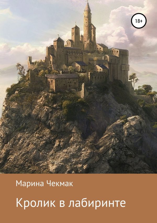 Обложка книги «Кролик в лабиринте»