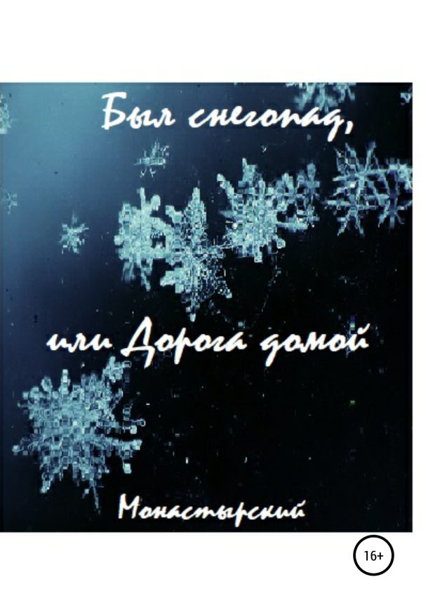 Обложка книги «Был снегопад, или Дорога домой»