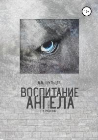 Обложка книги «Воспитание ангела. Сборник повести и рассказов»
