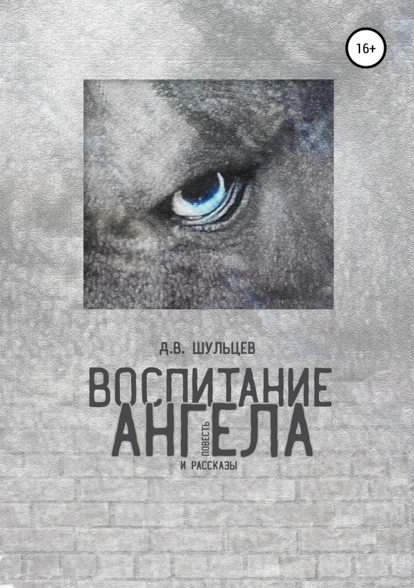 Обложка книги «Воспитание ангела. Сборник повести и рассказов»