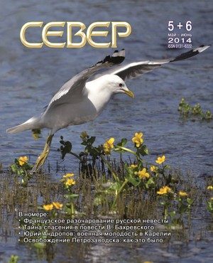 Обложка книги «На что похоже время»