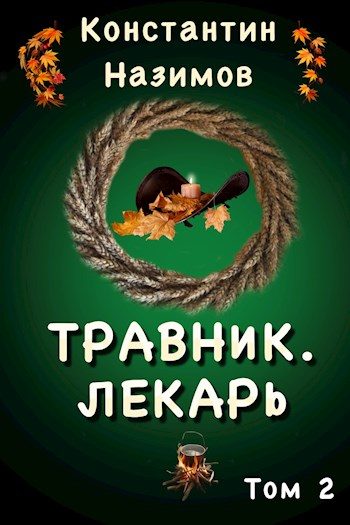 Обложка книги «Лекарь»