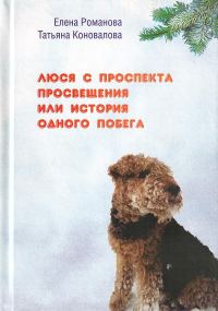 Обложка книги «Люся с проспекта Просвещения или История одного побега»