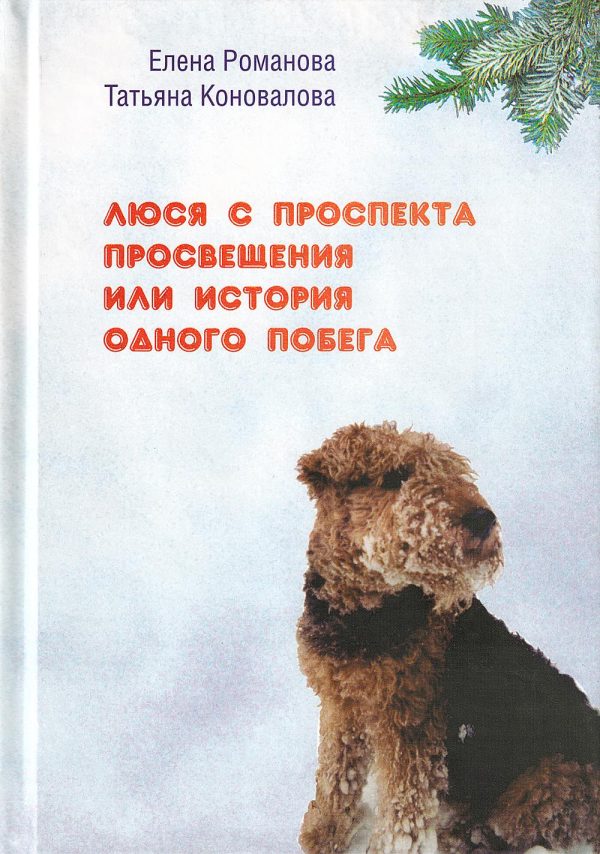 Обложка книги «Люся с проспекта Просвещения или История одного побега»