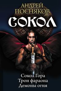 Обложка книги «Сокол»