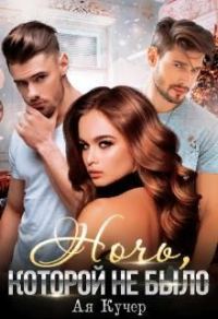 Обложка книги «Ночь, которой не было»