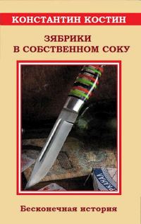 Обложка книги «Зябрики в собственном соку, или Бесконечная история»