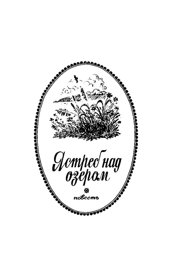 Обложка книги «Ястреб над озером»