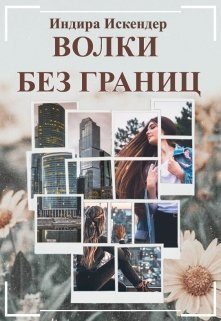 Обложка книги «Волки без границ»