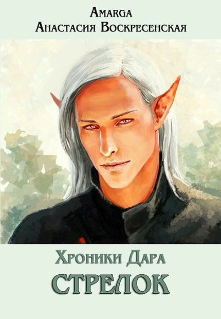 Обложка книги «Стрелок»