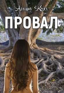 Обложка книги «Провал»