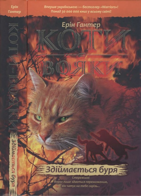 Обложка книги «Здіймається буря»