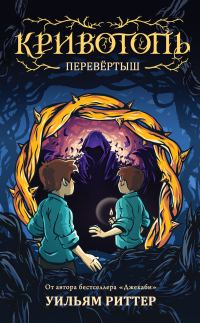 Обложка книги «Перевёртыш»
