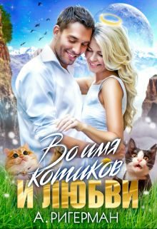 Обложка книги «Во имя котиков и любви»
