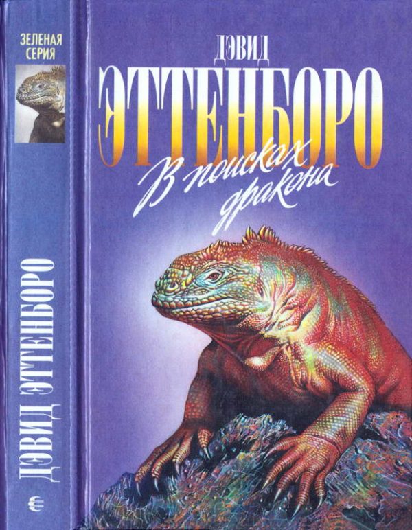 Обложка книги «В поисках дракона»