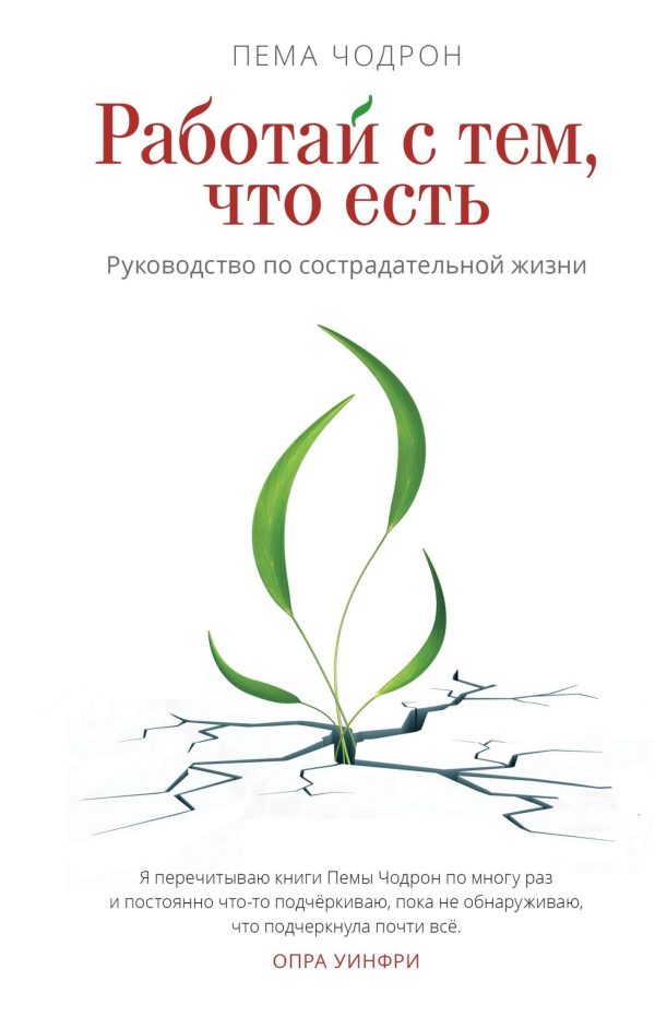 Обложка книги «Работай с тем, что есть. Руководство по сострадательной жизни»