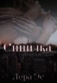 Обложка книги «Синичка. Прощение»