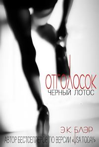 Обложка книги «Отголосок»