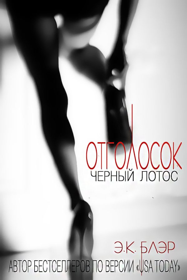 Обложка книги «Отголосок»