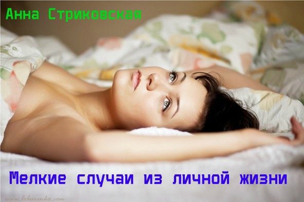 Обложка книги «Мелкие случаи из личной жизни»