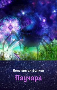 Обложка книги «Паучара»