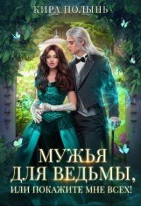 Обложка книги «Мужья для ведьмы, или Покажите мне всех!»