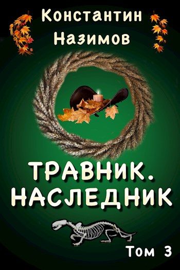 Обложка книги «Наследник»