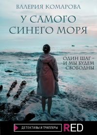 Обложка книги «У самого синего моря»