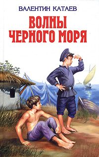 Обложка книги «Зимний ветер»