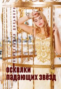 Обложка книги «Осколки падающих звёзд»