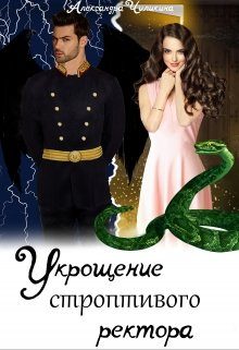 Обложка книги «Укрощение строптивого ректора»