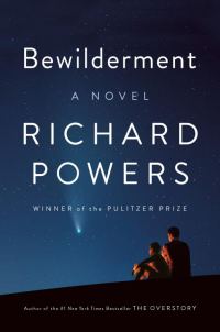 Обложка книги «Bewilderment»