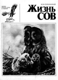 Обложка книги «Жизнь сов»