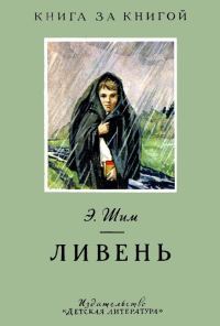 Обложка книги «Ливень»