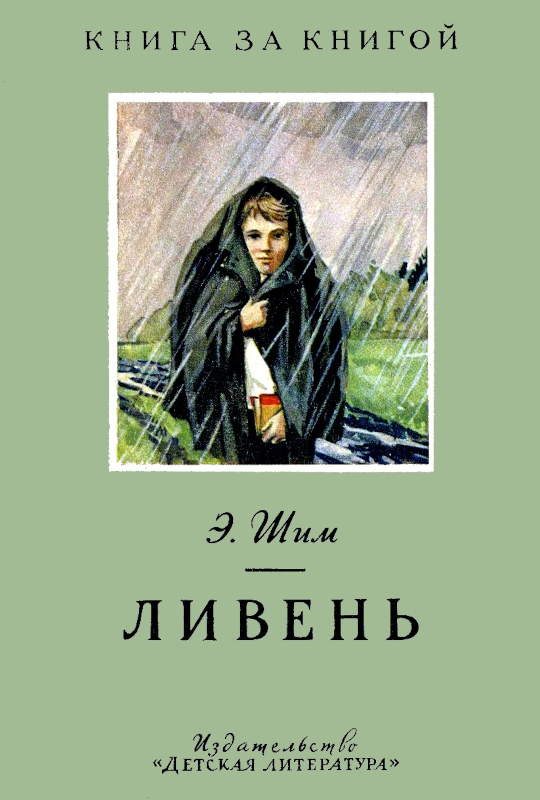 Обложка книги «Ливень»