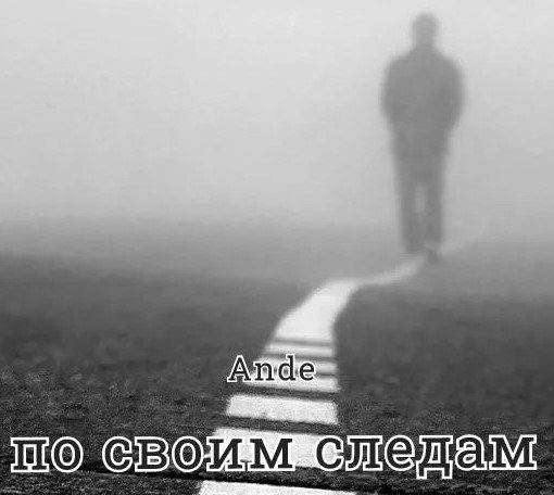 Обложка книги «По своим следам»