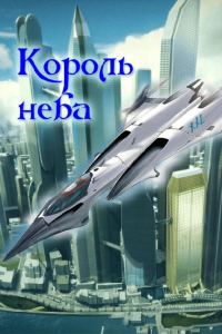 Обложка книги «Король неба»