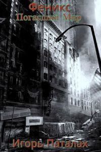 Обложка книги «Погасший Мир»