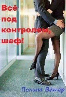 Обложка книги «Всё под контролем, шеф!»