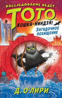 Обложка книги «Загадочное похищение»