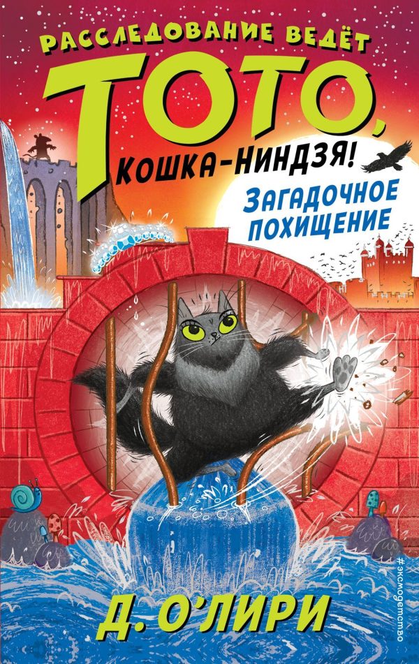Обложка книги «Загадочное похищение»